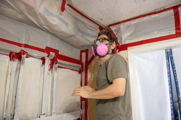 Best Post-Construction Mold Inspection  in Perry, FL