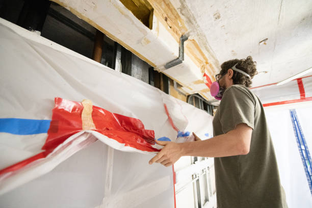 Best Attic Mold Removal  in Perry, FL