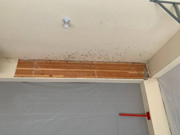 Best Indoor Air Quality Assessment  in Perry, FL